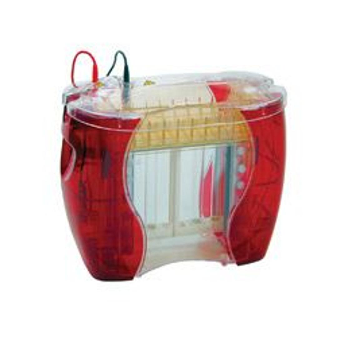 SE600X Dual Cooled Vertical Units - Hoefer Inc. Europe - Life Sciences