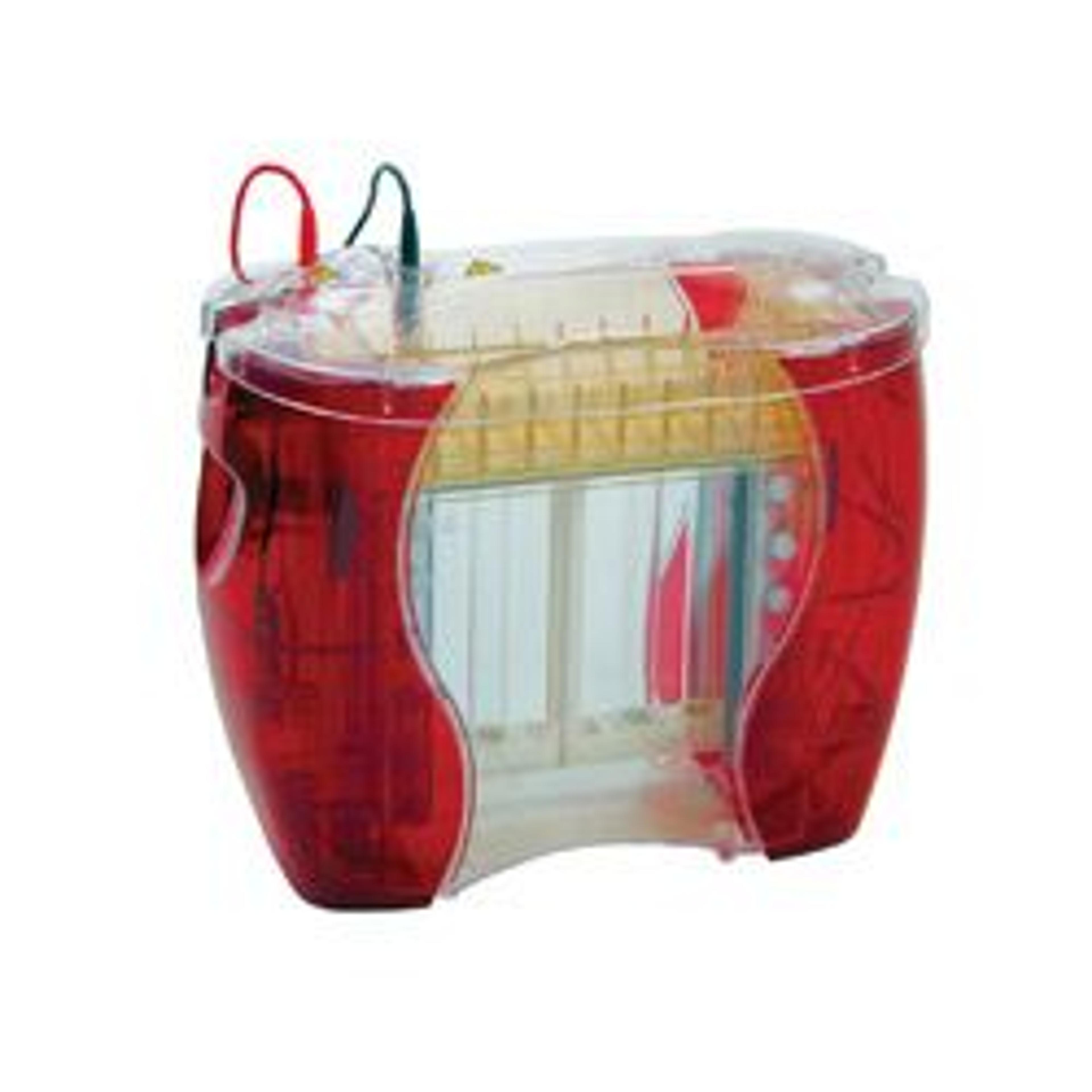 SE600X Dual Cooled Vertical Units - Hoefer Inc. Europe - Life Sciences