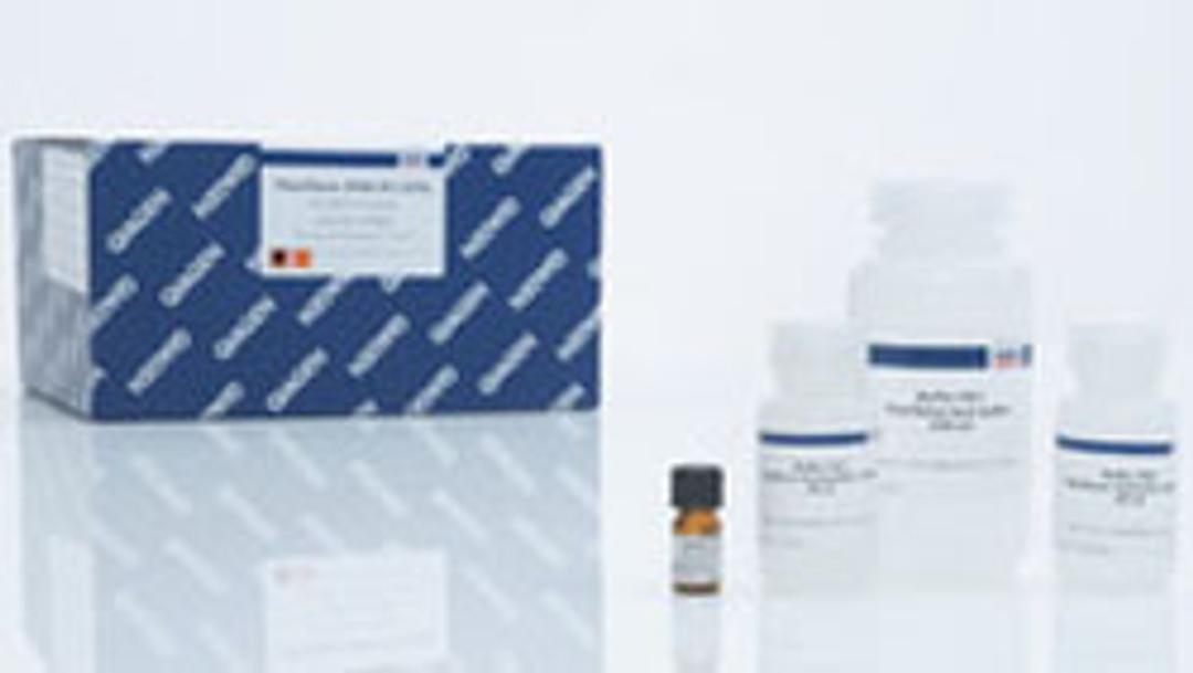 FlexiGene DNA Kit (250) - QIAGEN