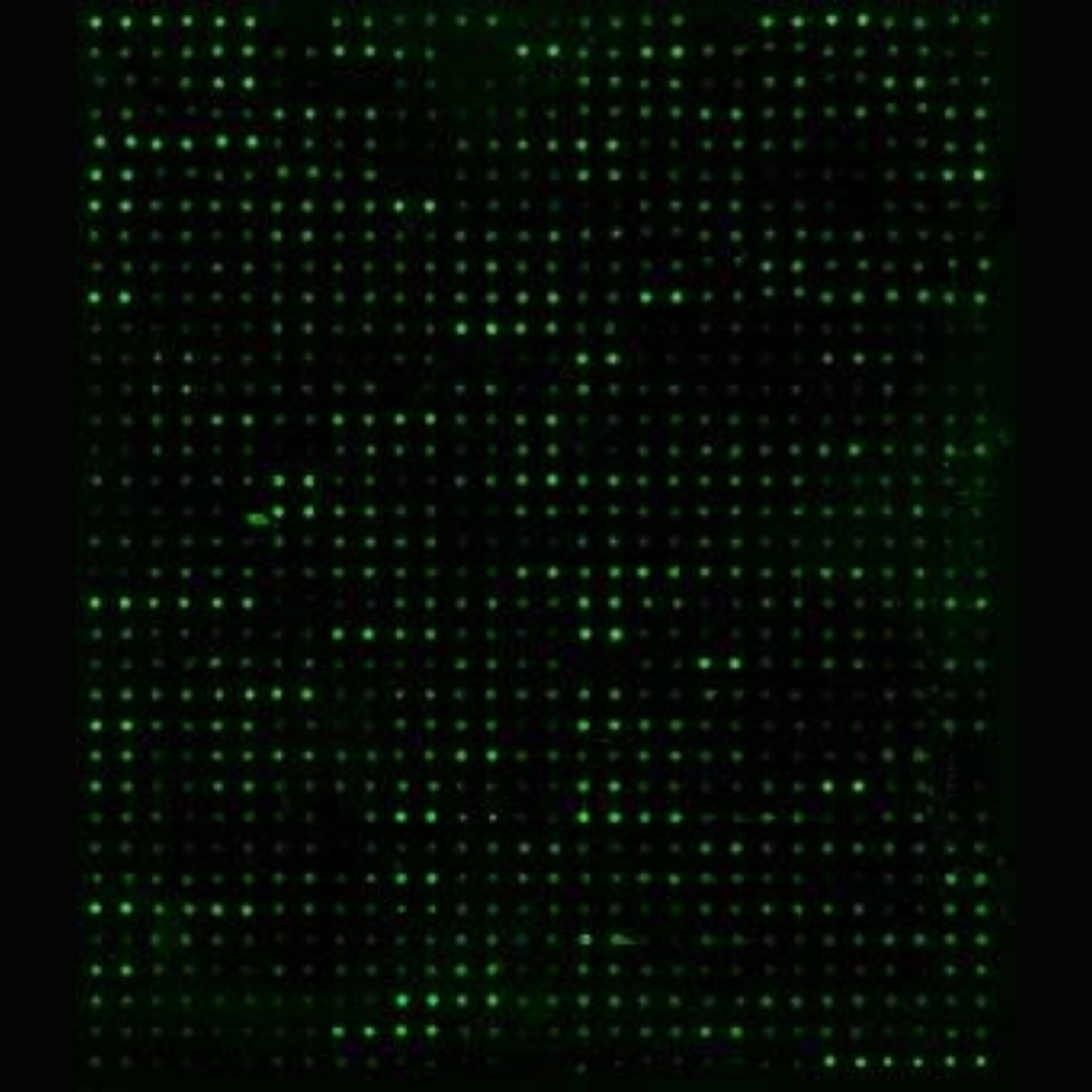 Human Protein Oxidation Array G1 - RayBiotech Inc. - Life Sciences