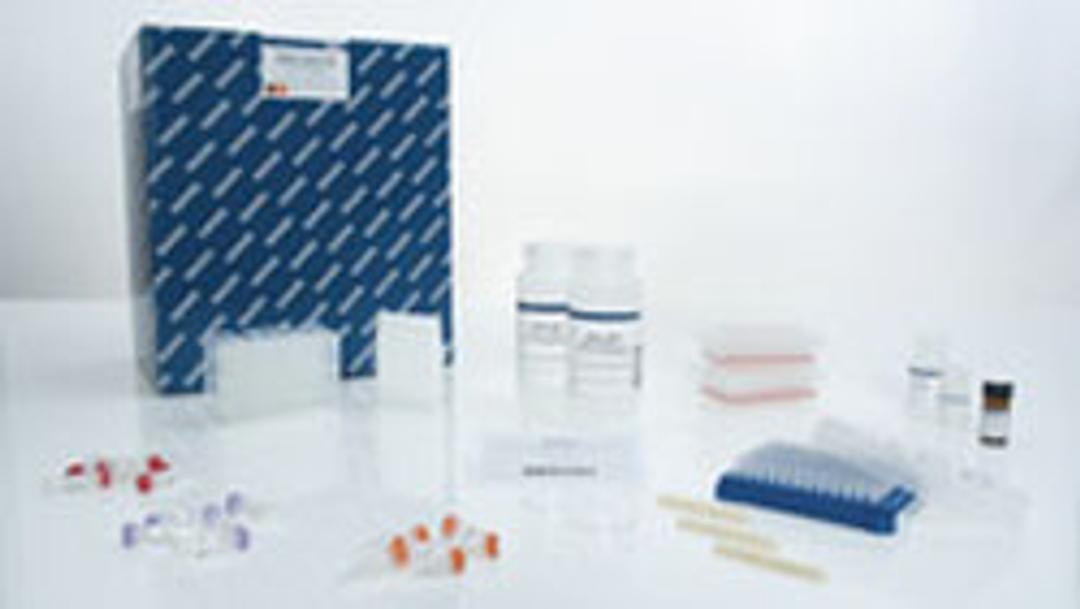 QIAamp One-For-All Nucleic Acid Kit (12) - QIAGEN