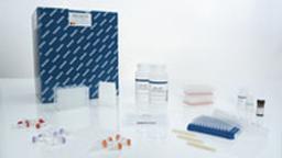 QIAamp One-For-All Nucleic Acid Kit (12) - QIAGEN