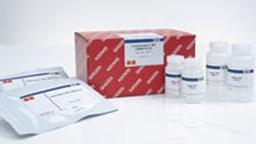 Buffer TCL, 2x (8.5 ml) - QIAGEN