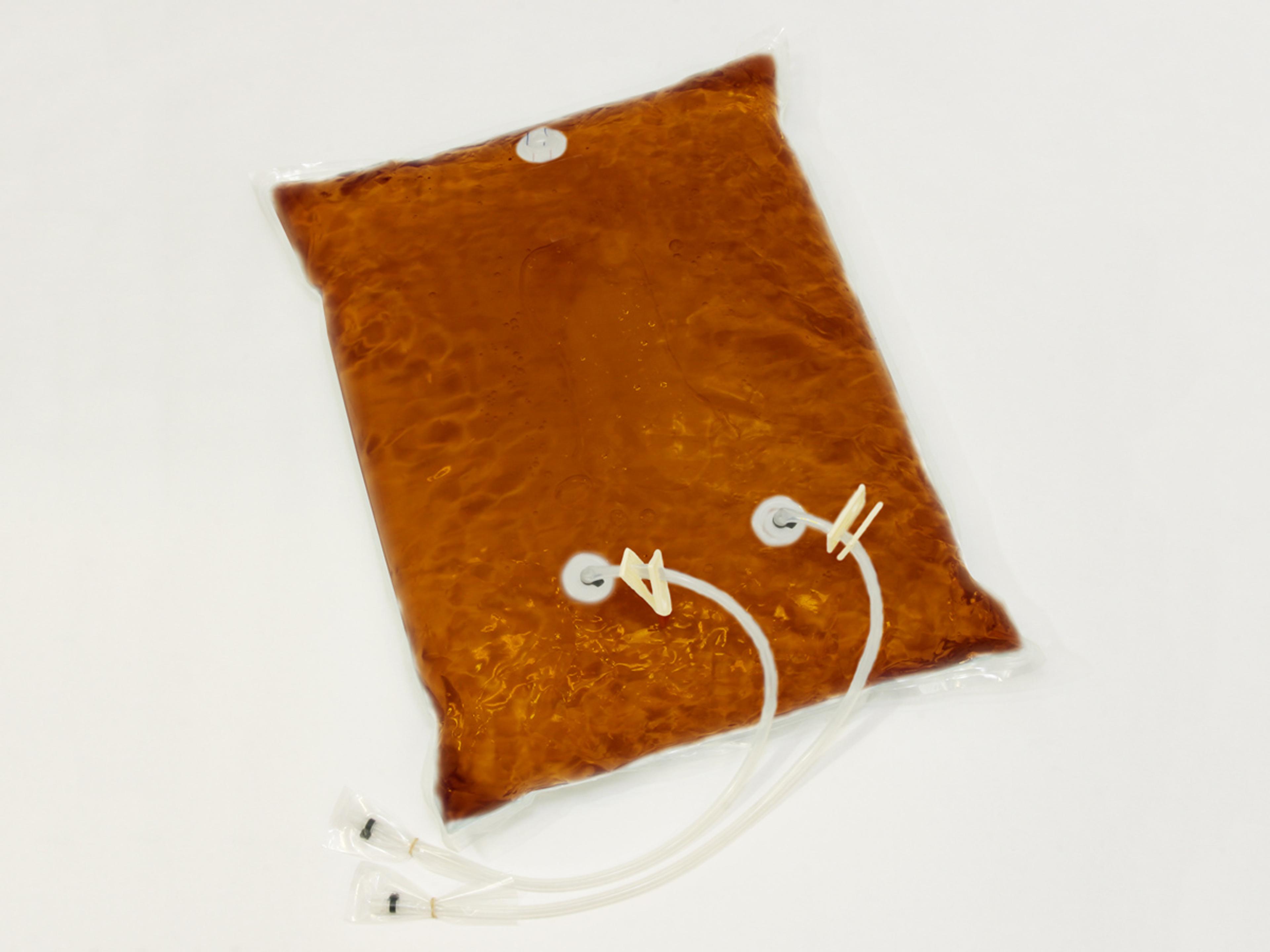 Corning® 20L TSB (Tryptic Soy Broth), animal free, Liquid - Corning Life Sciences