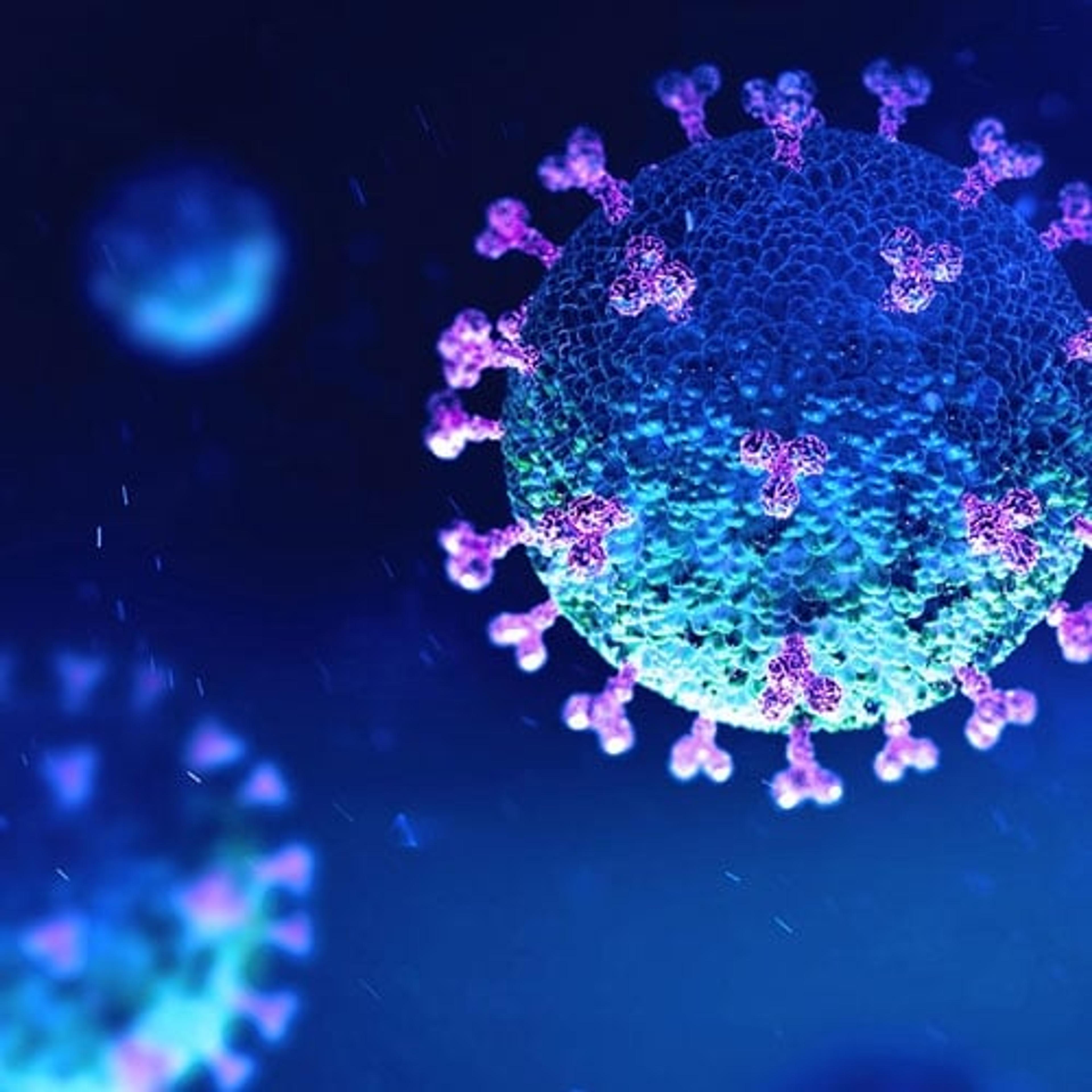 2019-nCoV Nucleocapsid Recombinant Antigen, full length (Ag-6) - Merck - Life Sciences