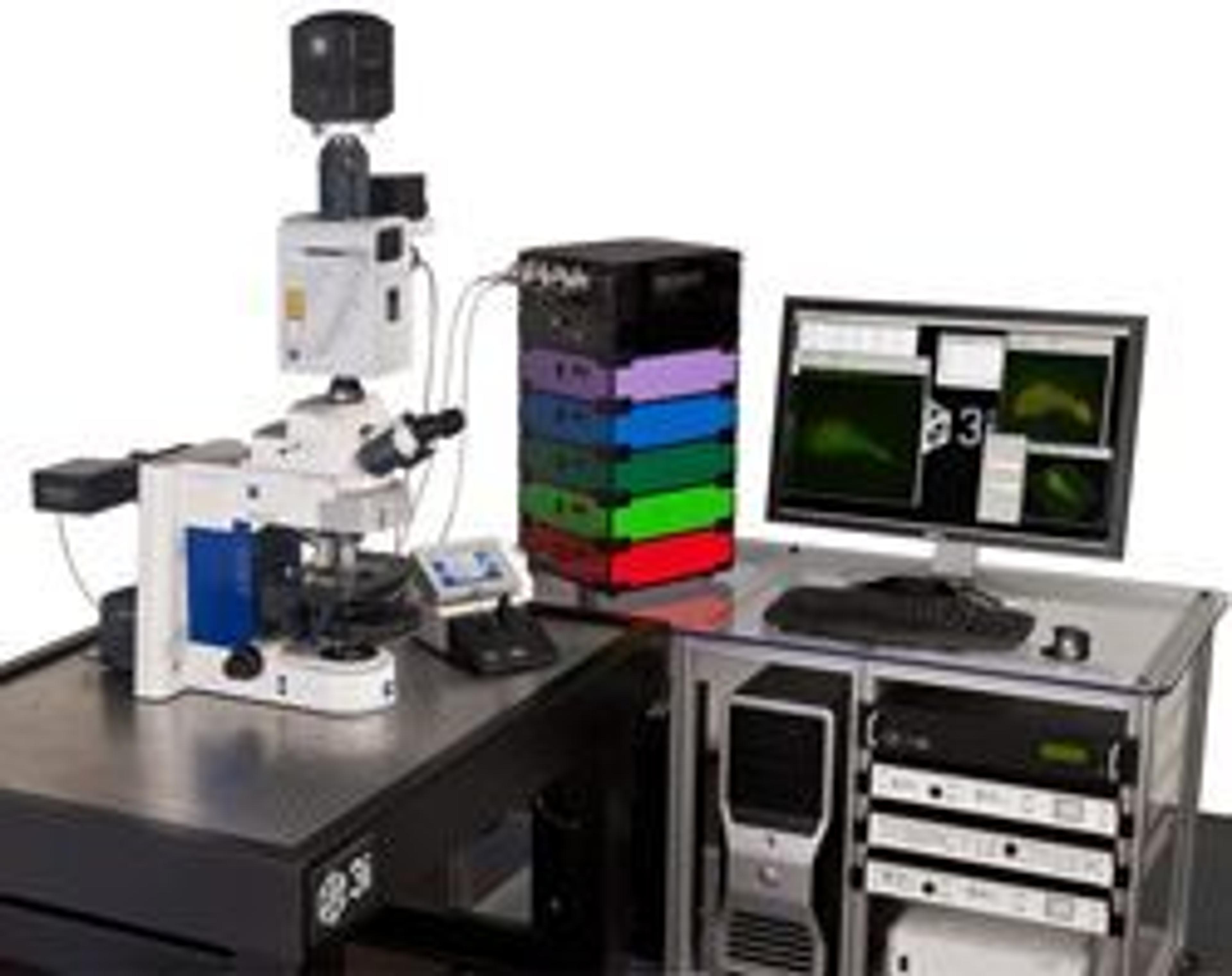 Everest™ - Intelligent Imaging Innovations (3i) - Life Sciences