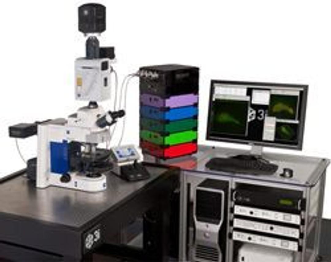 Everest™ - Intelligent Imaging Innovations (3i) - Life Sciences