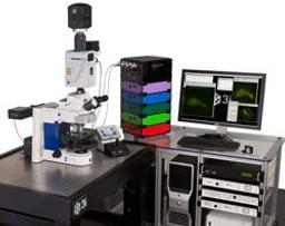 Everest™ - Intelligent Imaging Innovations (3i) - Life Sciences