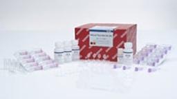 RNeasy Plant Mini Kit (50) - QIAGEN