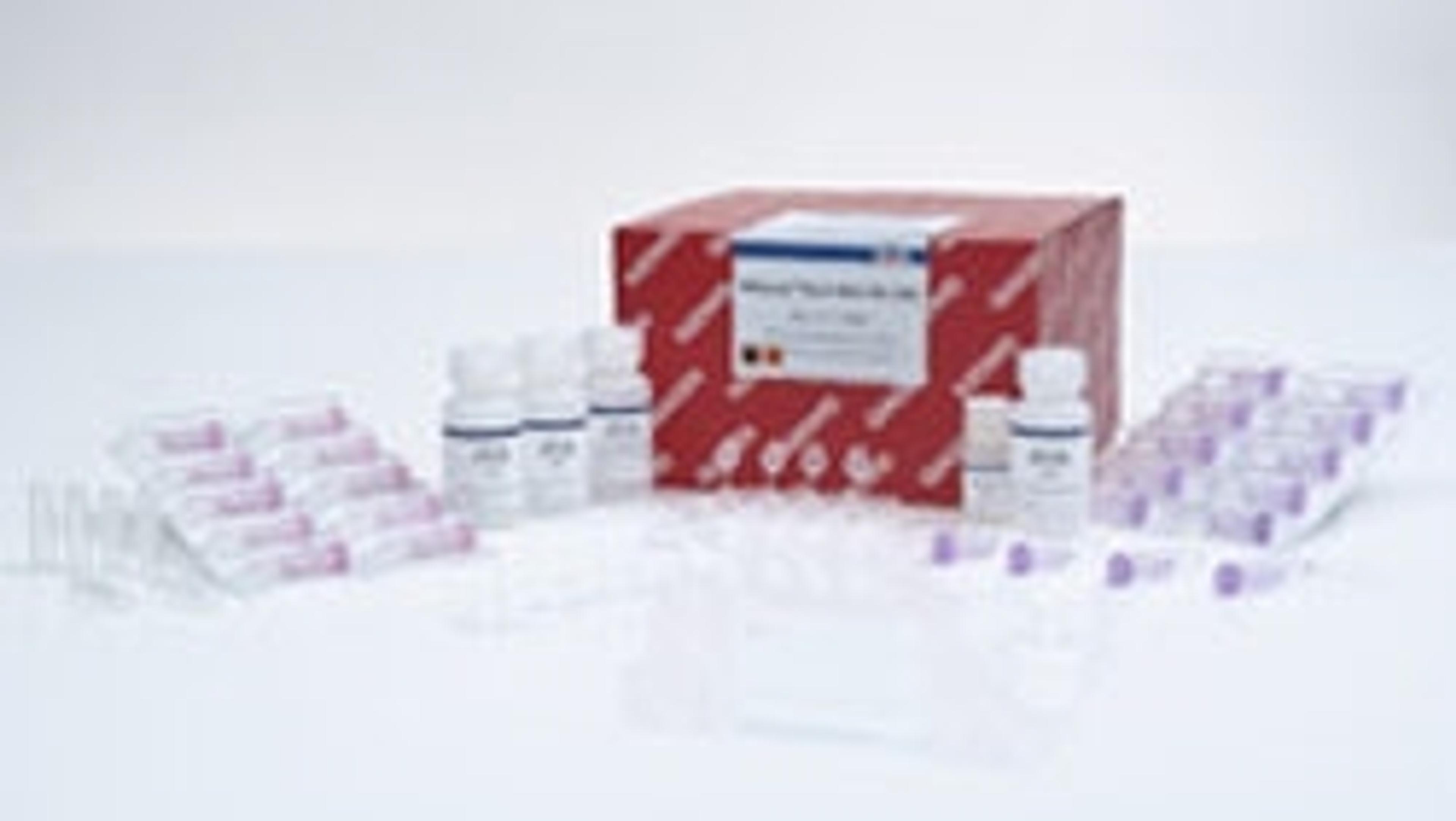 RNeasy Plant Mini Kit (50) - QIAGEN