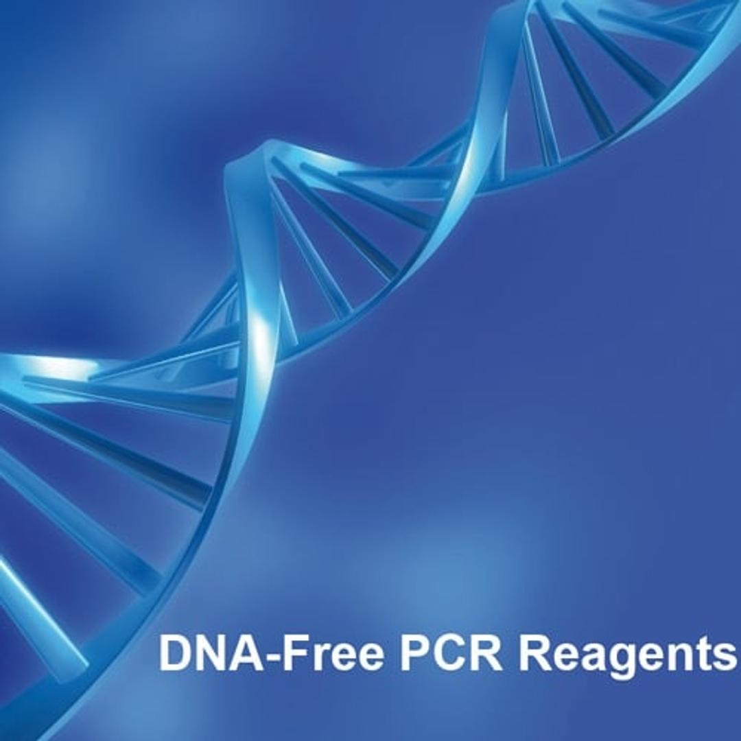 DNA-free Mastermix 16S/18S Basic - Molzym GmbH & Co. KG - Life Sciences