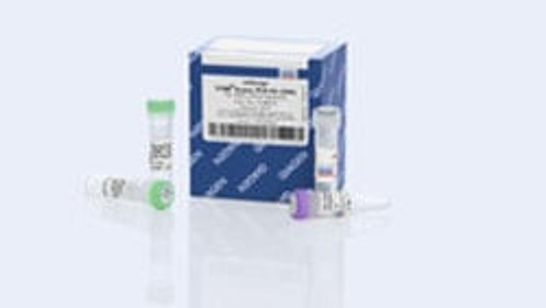 miScript SYBR Green PCR Kit (1000) - QIAGEN