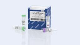 miScript SYBR Green PCR Kit (1000) - QIAGEN