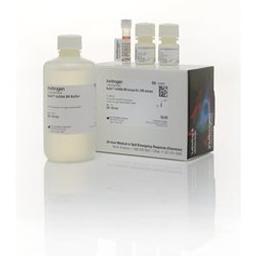 Qubit™ dsDNA BR Assay Kit - Thermo Fisher Scientific - Life Sciences