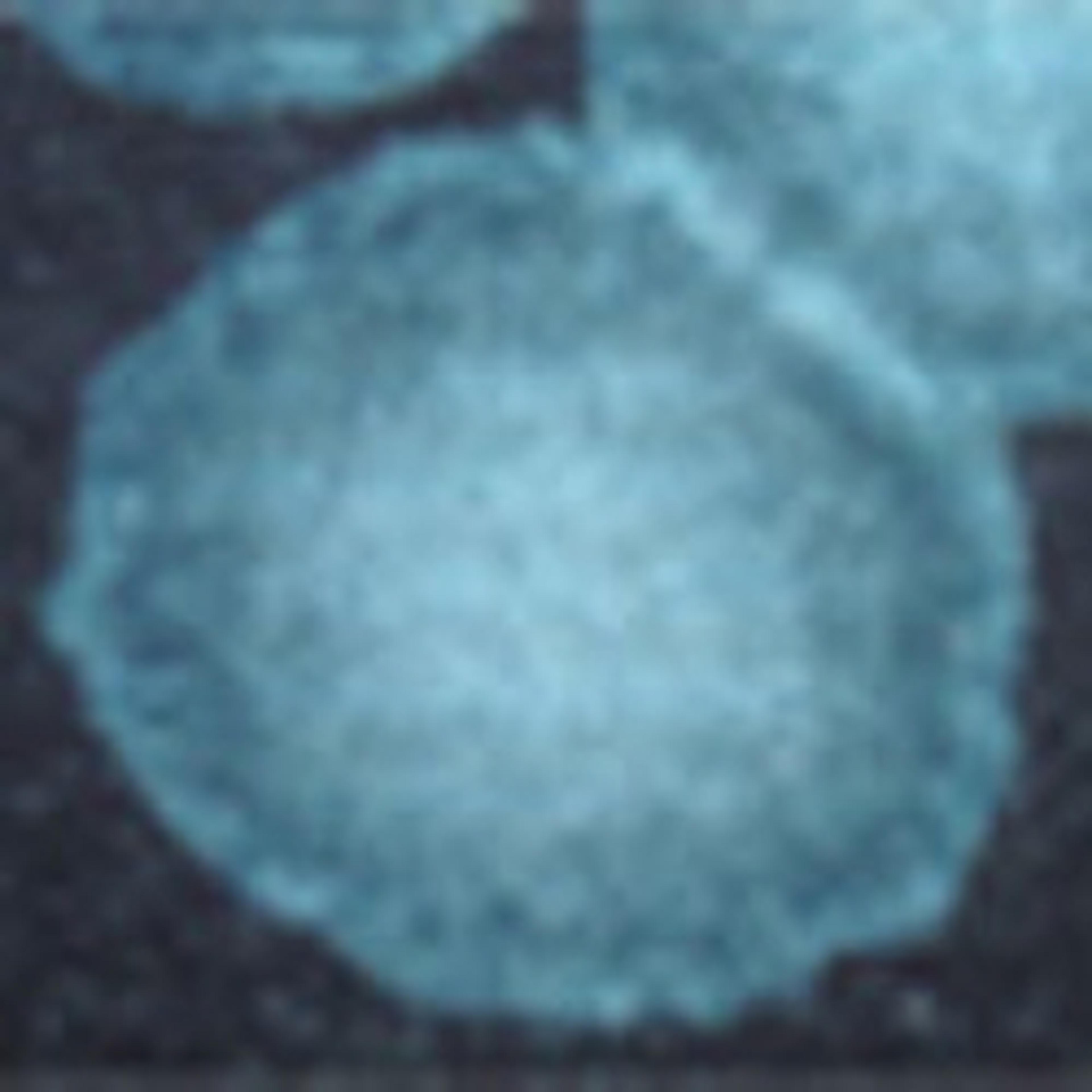 Extracellular Matrix Proteins and Tools - Merck