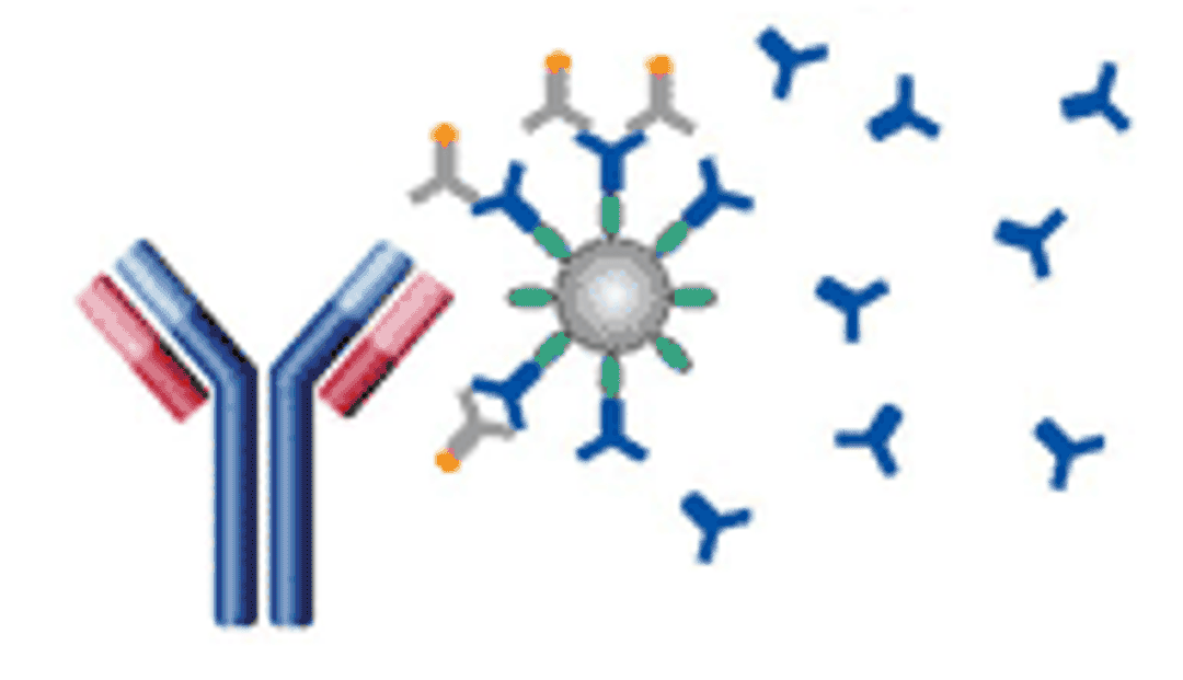 RapidQuant™ Mouse & Human IgG Antibody Quantification Assays - Merck - Life Sciences