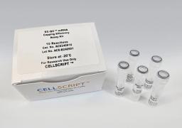 EZ-QC™ mRNA Capping Efficiency Assay Kit - CELLSCRIPT™ - Life Sciences