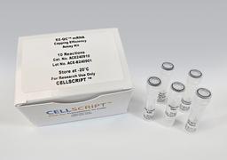 EZ-QC™ mRNA Capping Efficiency Assay Kit - CELLSCRIPT™ - Life Sciences