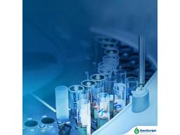 AAV and Lentivirus Packaging Plasmids - GenScript - Drug Discovery & Development