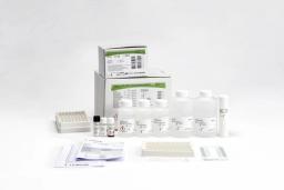 INNO-LiPA® HPV Genotyping Extra II - Fujirebio - Clinical Diagnostics