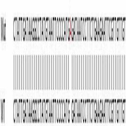 Human EIF2AK2 (PKR) knockout A549 cell line - Abcam plc - Life Sciences