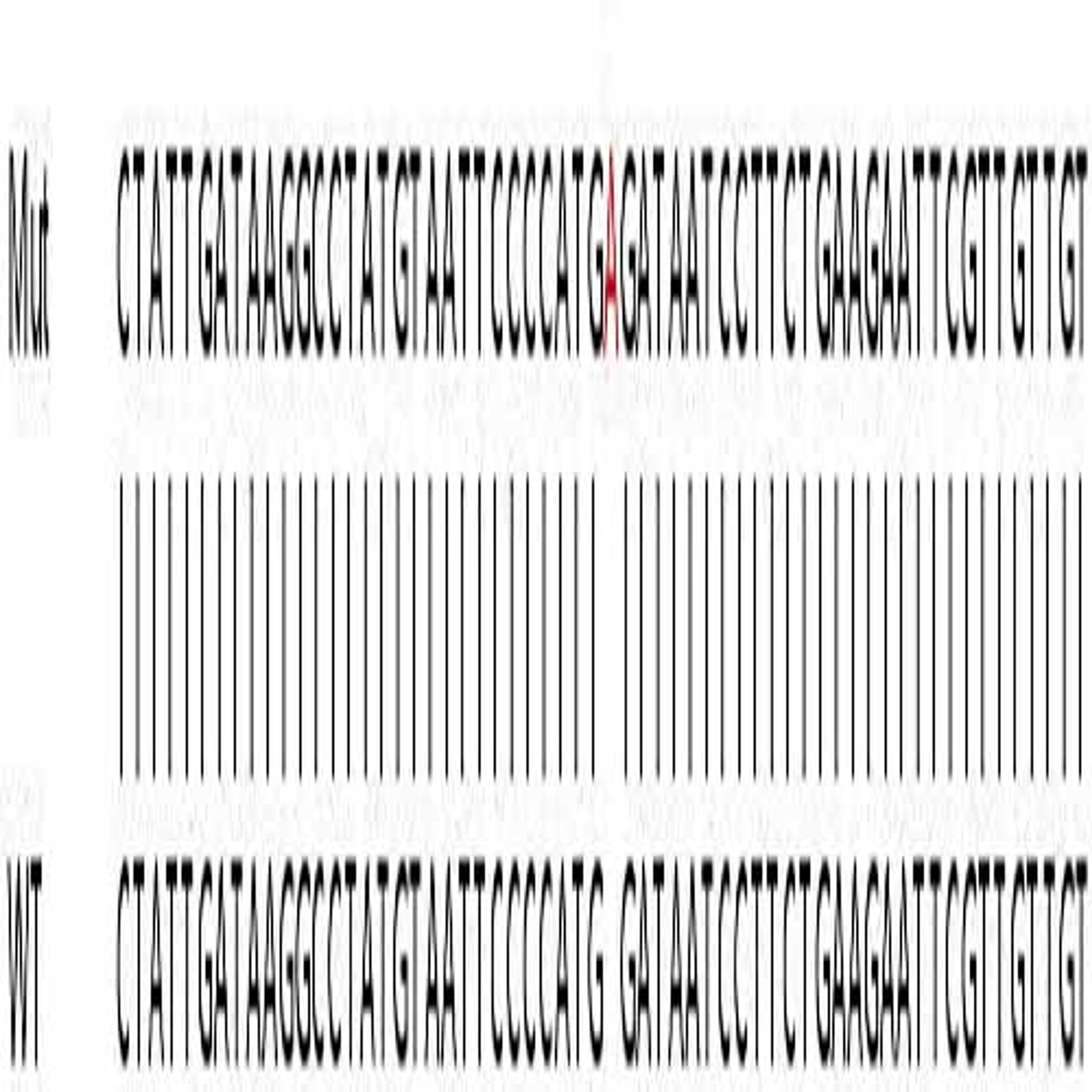 Human EIF2AK2 (PKR) knockout A549 cell line - Abcam plc - Life Sciences