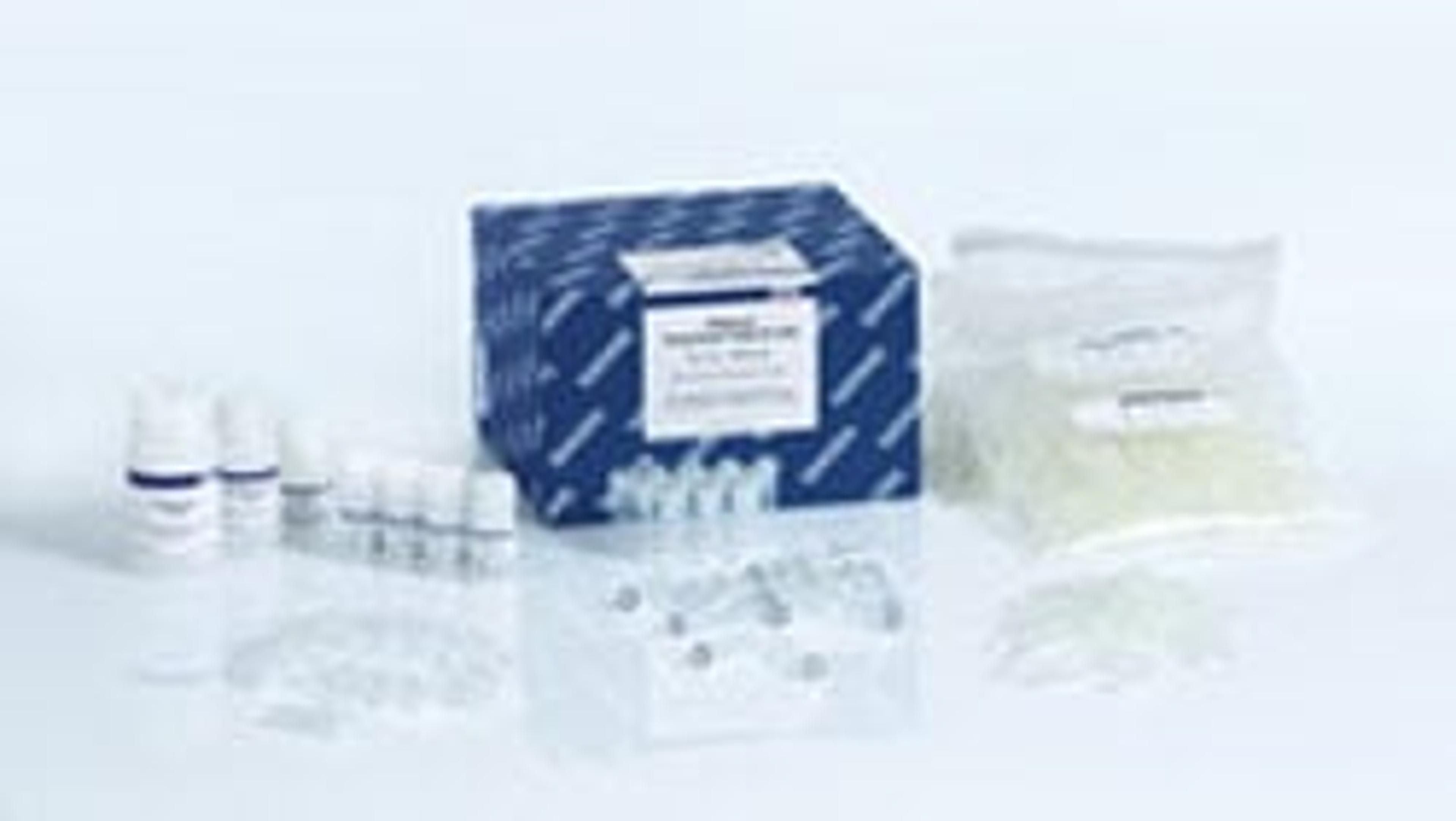 QIAamp PowerFecal Pro DNA Kit - QIAGEN