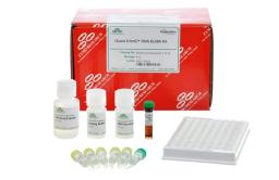 Quest 5-hmC DNA ELISA Kit - Zymo Research - Life Sciences