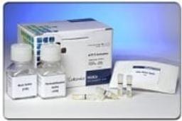 HitKit® HCS Reagent Kit for ATF-2 Activation - null