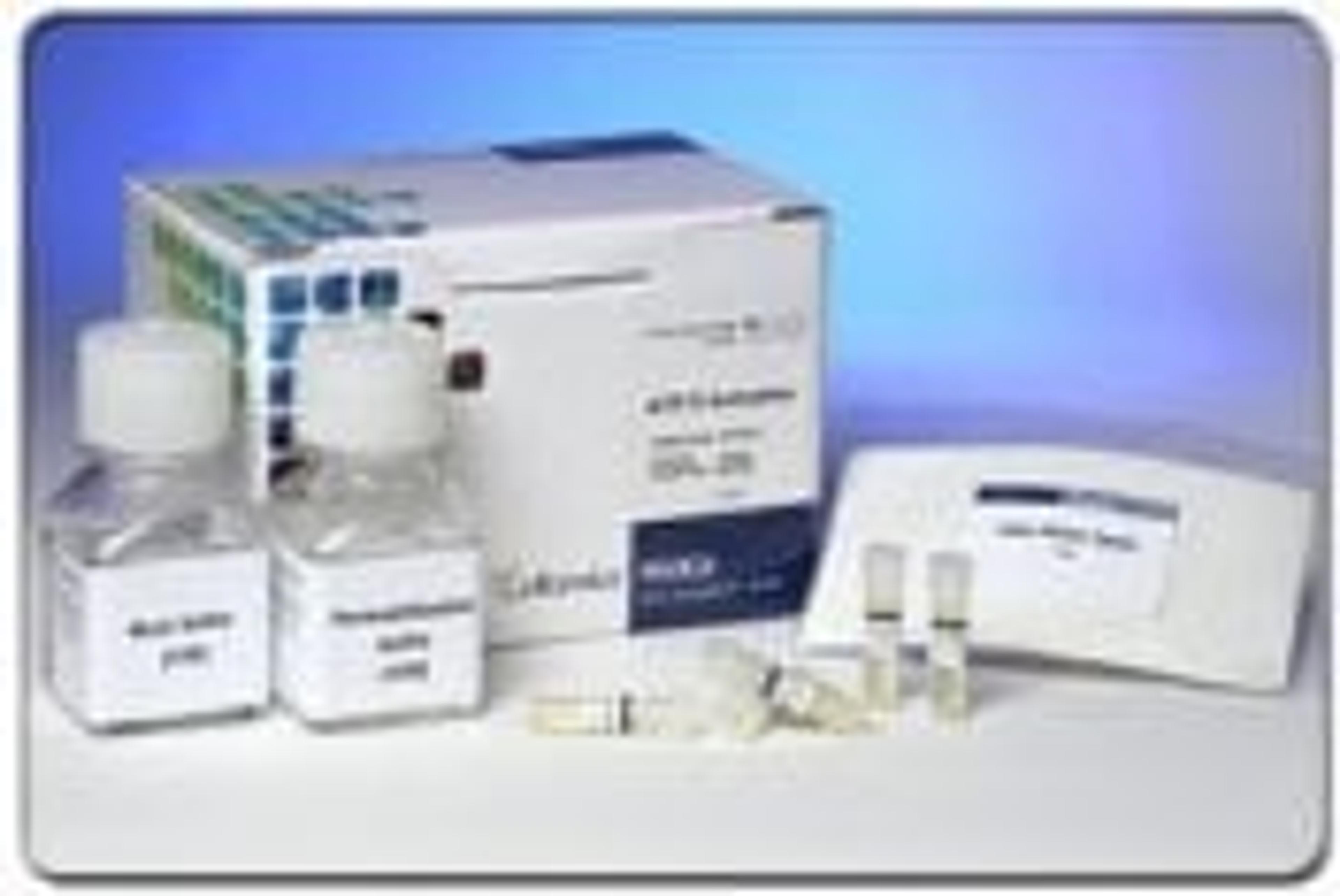 HitKit® HCS Reagent Kit for ATF-2 Activation - null