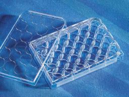 Costar® 24-well Clear TC-treated Multiple Well Plates, Individually Wrapped, Sterile - Corning Life Sciences - Life Sciences