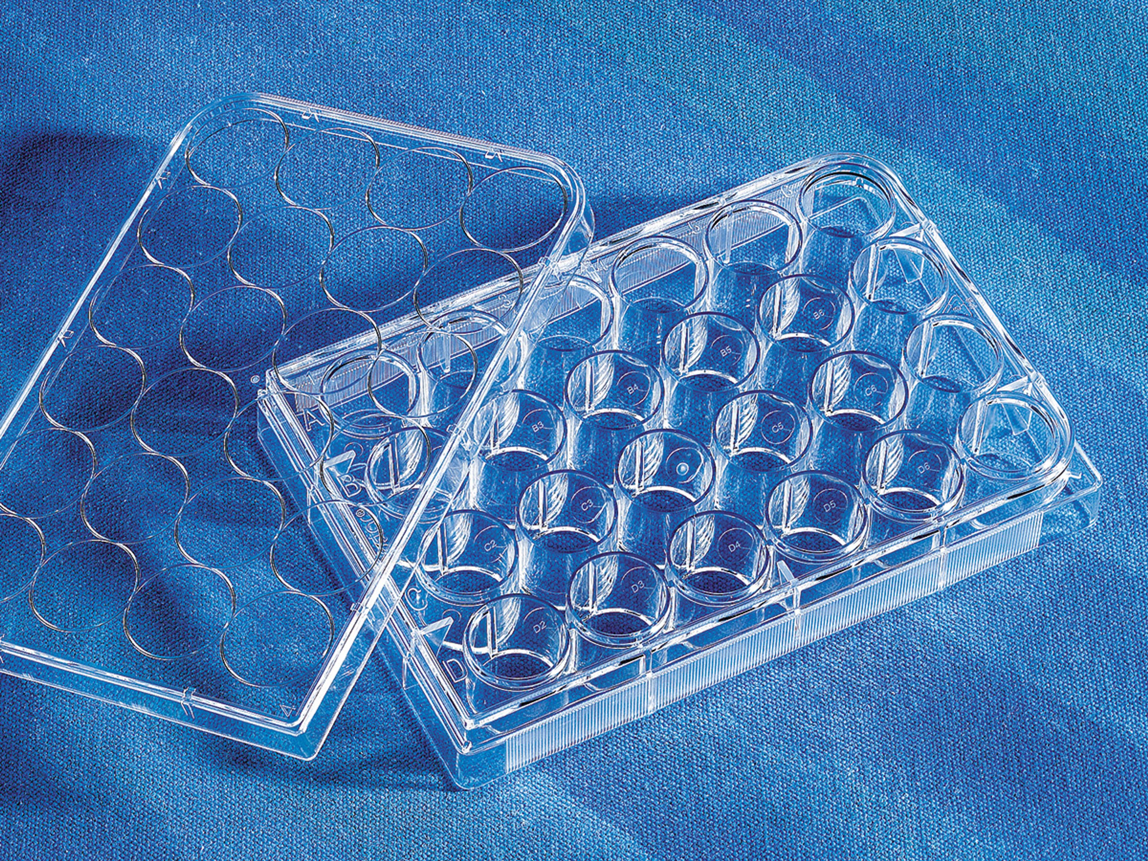 Corning® CellBIND® 24-well Clear Multiple Well Plates, Flat Bottom, with Lid, Sterile - Corning Life Sciences - Life Sciences