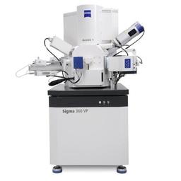 ZEISS Sigma - ZEISS Research Microscopy Solutions - Life Sciences