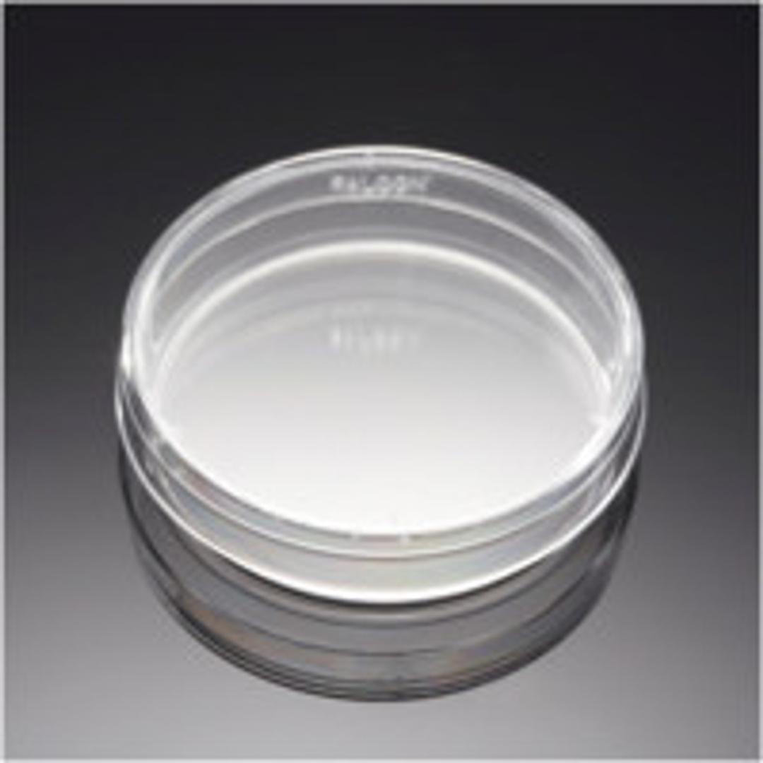 Corning® BioCoat™ Poly-L-Lysine 60 mm TC-treated Culture Dishes, 20/Pack, 100/Case - Corning Life Sciences - General Lab