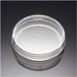 Corning® BioCoat™ Poly-L-Lysine 60 mm TC-treated Culture Dishes, 20/Pack, 100/Case - Corning Life Sciences - General Lab