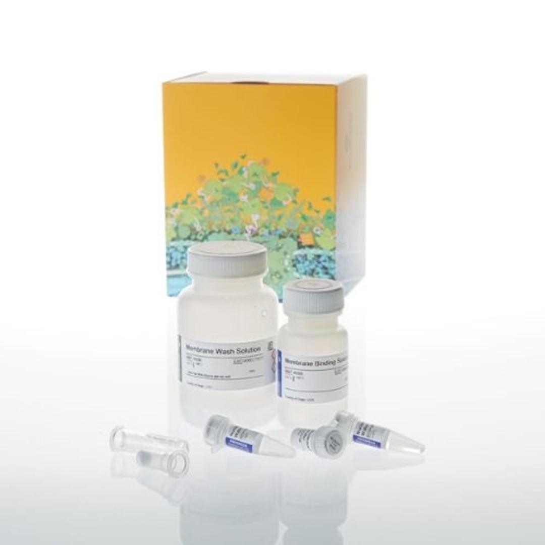 Wizard® SV Gel and PCR Clean-Up System - Promega Corp. - Life Sciences