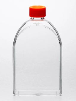 Corning® 150cm² U-Shaped Canted Neck Cell Culture Flask with Vent Cap - Corning Life Sciences
