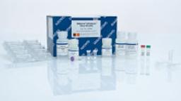 QIAamp UltraSens Virus Kit (50) - QIAGEN