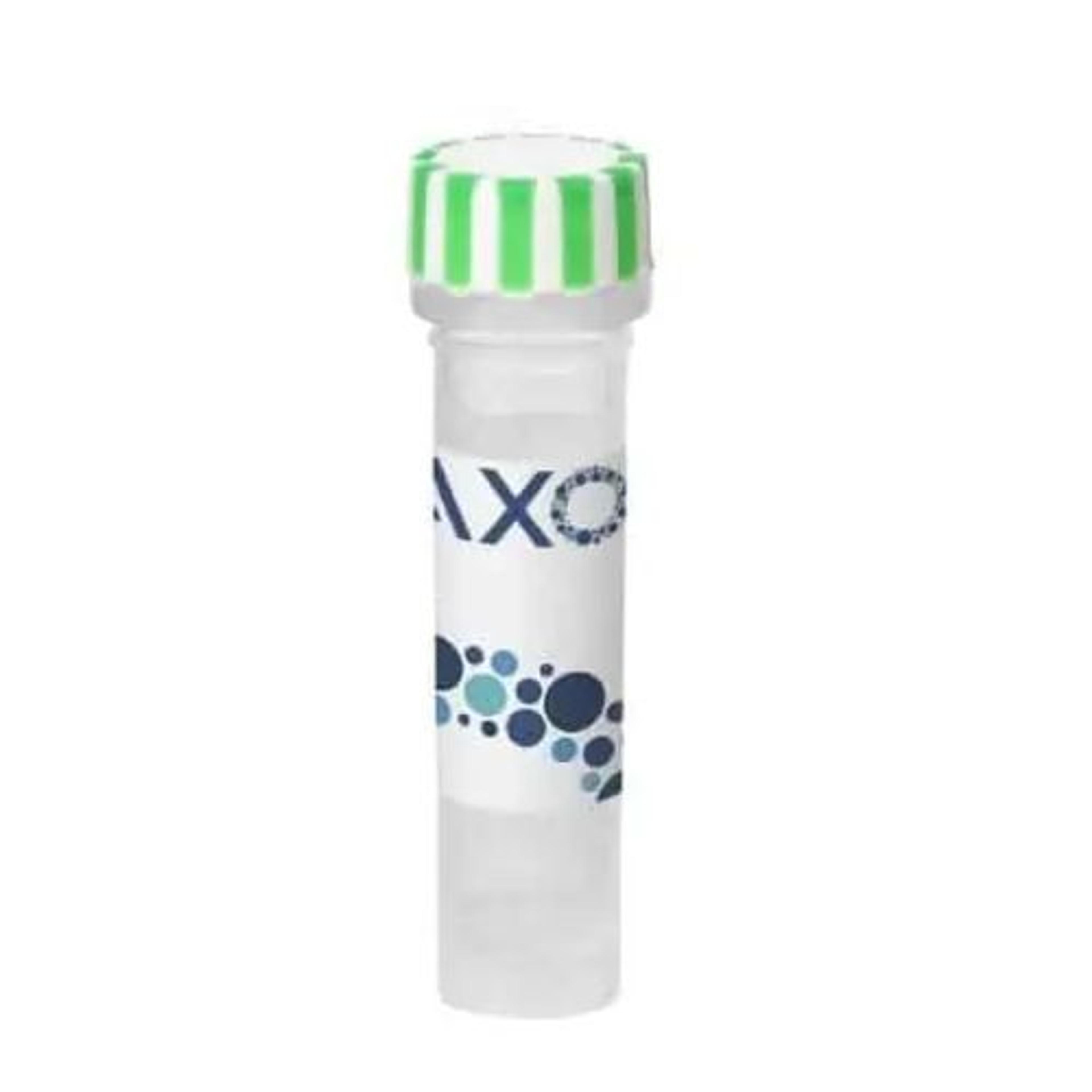 axoCells™ Human EGF, 100 µg - Axol Bioscience - Life Sciences