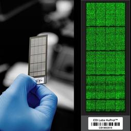 HuProt - CDI Laboratories, Inc - Life Sciences