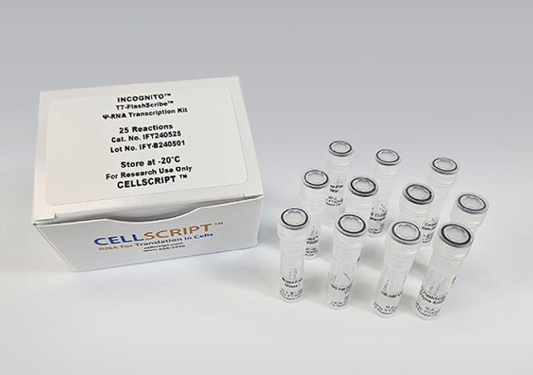 INCOGNITO™ T7-FlashScribe™ Ψ-RNA Transcription Kit - CELLSCRIPT™ - Life Sciences