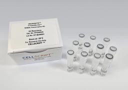 INCOGNITO™ T7-FlashScribe™ Ψ-RNA Transcription Kit - CELLSCRIPT™ - Life Sciences