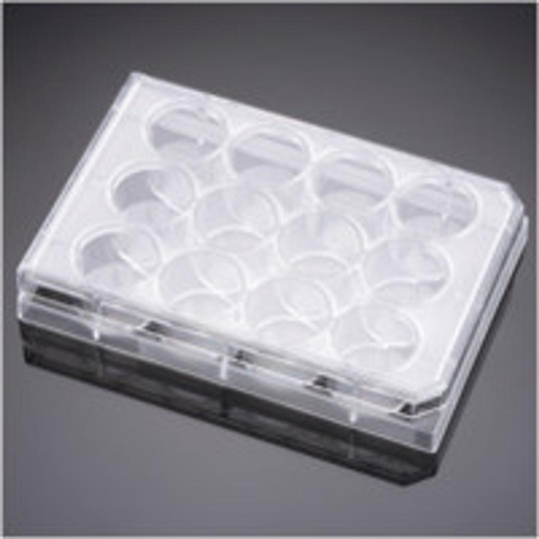 Corning® BioCoat™ Collagen I 12-well Clear Flat Bottom TC-treated Multiwell Plate, with Lid, 5/Case - Corning Life Sciences - Life Sciences