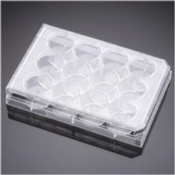 Corning® BioCoat™ Collagen I 12-well Clear Flat Bottom TC-treated Multiwell Plate, with Lid, 5/Case - Corning Life Sciences - Life Sciences