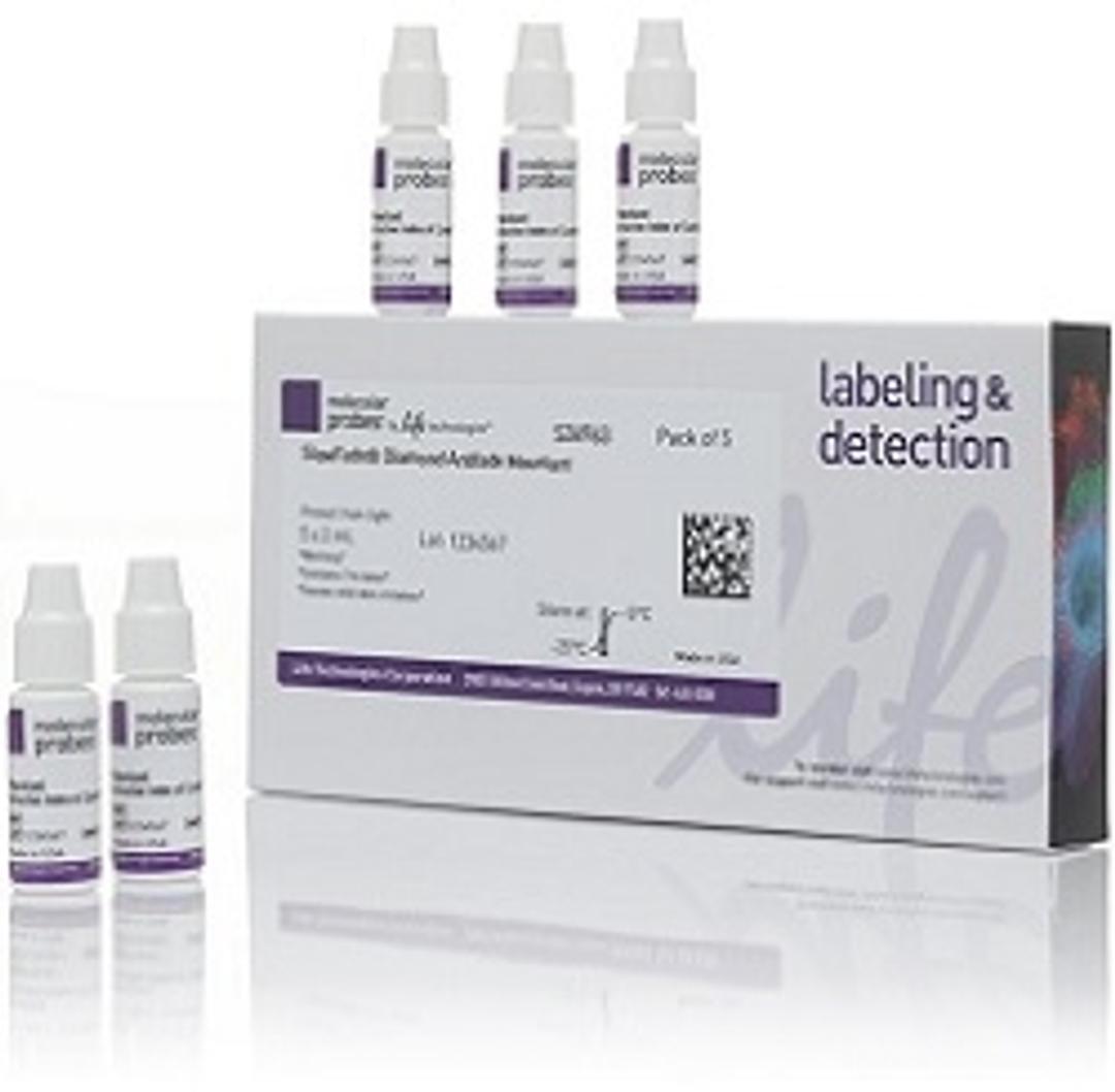 Invitrogen™ SlowFade™ Diamond Antifade Mountant - Thermo Fisher Scientific