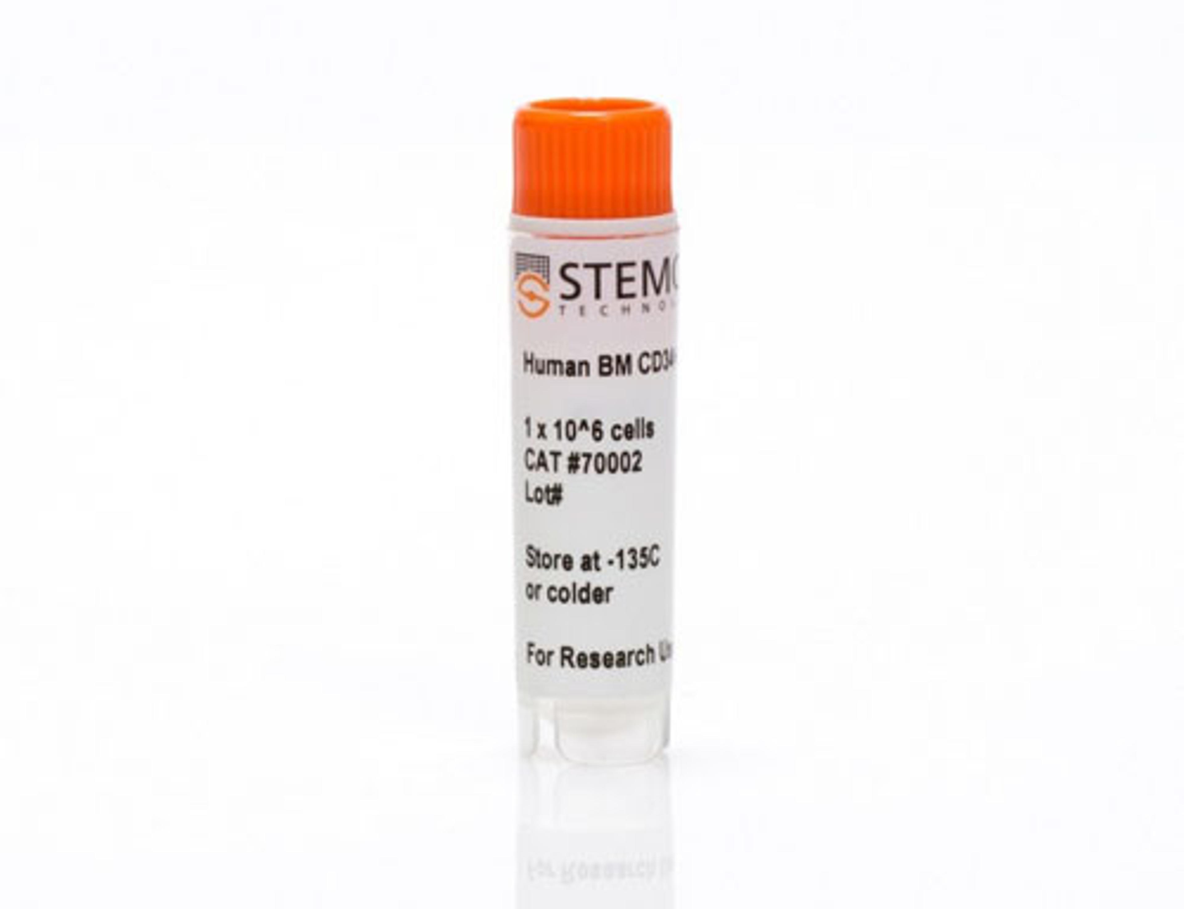 Human Bone Marrow CD34+ Cells, Frozen
