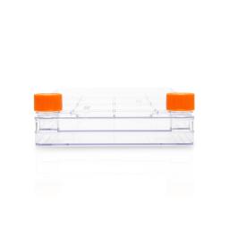 Corning® CellBIND® Polystyrene CellSTACK® - 2 Chamber with Vent Caps, 5 per Case - Corning Life Sciences