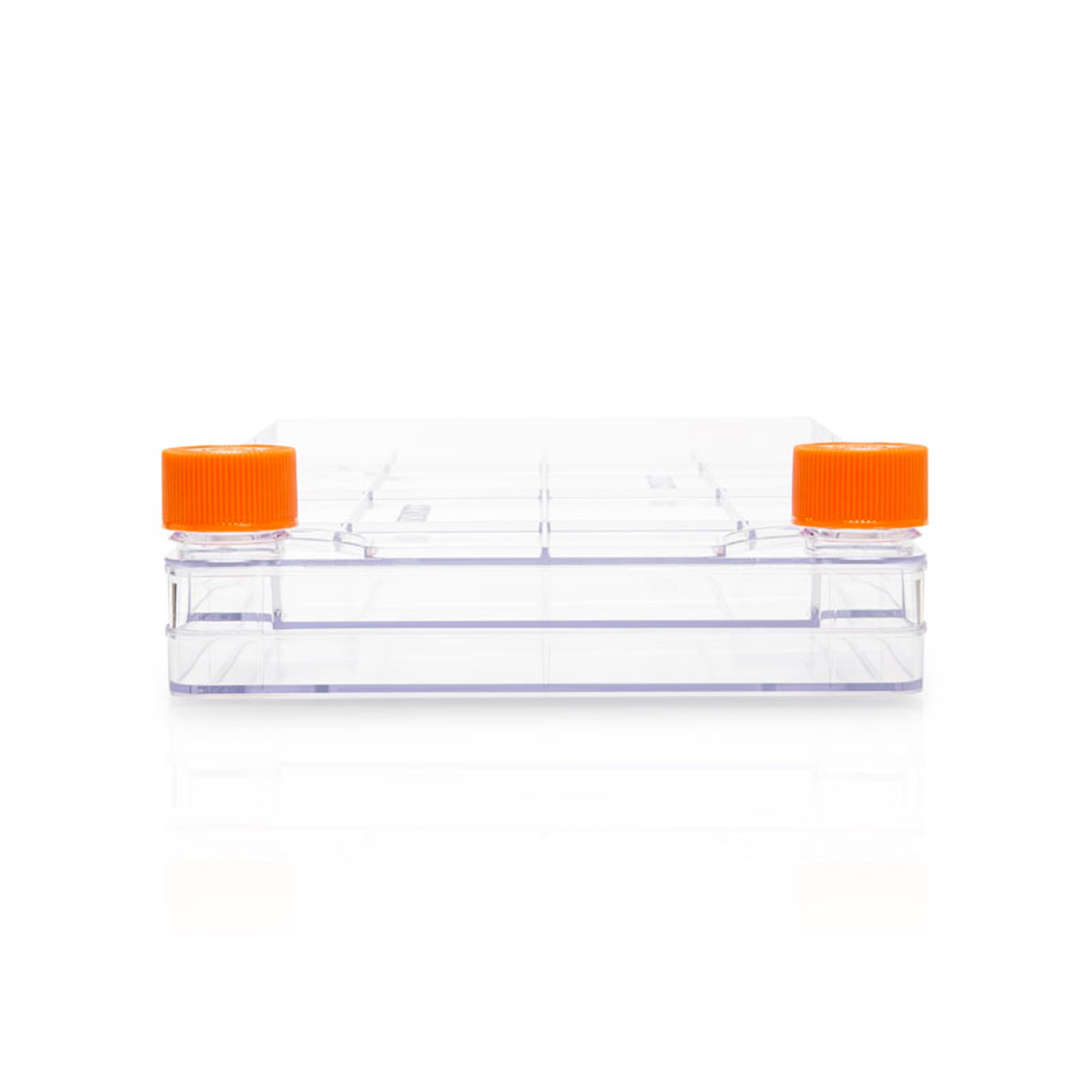 Corning® CellBIND® Polystyrene CellSTACK® - 2 Chamber with Vent Caps, 5 per Case - Corning Life Sciences