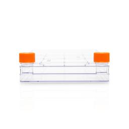 Corning® CellBIND® Polystyrene CellSTACK® - 2 Chamber with Vent Caps, 5 per Case - Corning Life Sciences