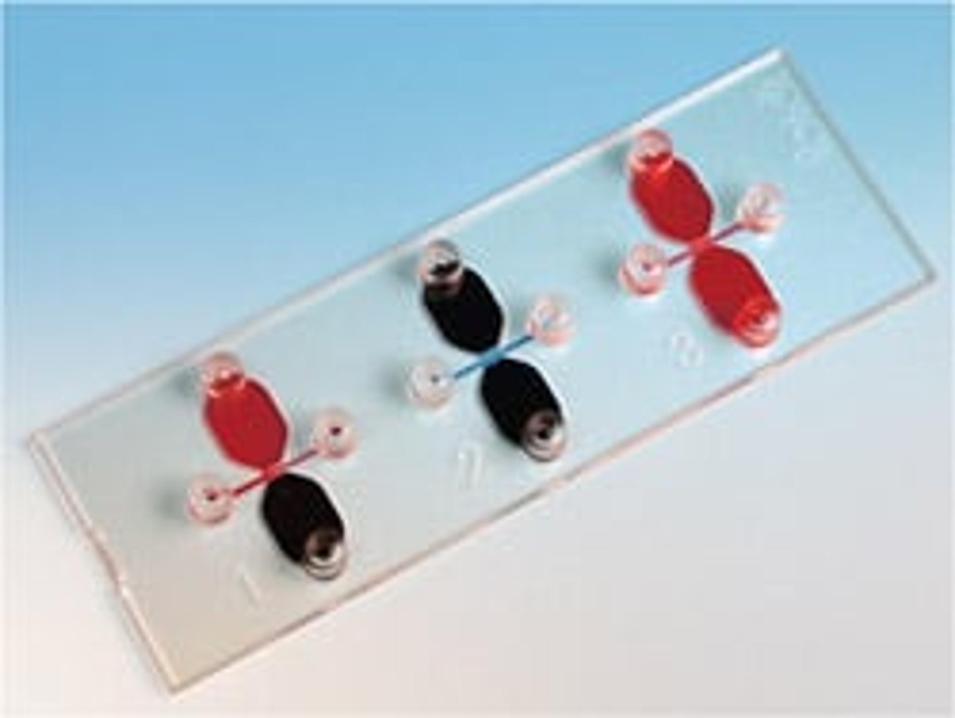 µ-Slide Chemotaxis - ibiTreat, tissue culture treated, - AutoMate Scientific Inc. - Life Sciences